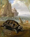  sea turtle